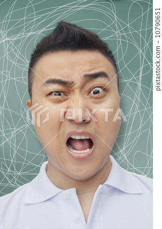 10790651