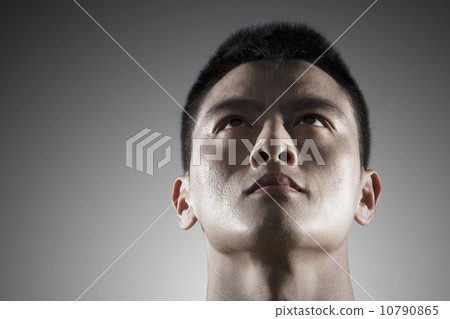 10790865