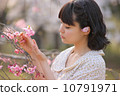 A young woman who loves cherry blossoms 10791971