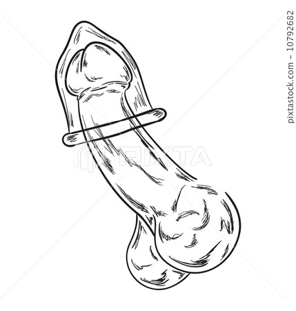 penis with condom sketch penis with condom sketch 10792682