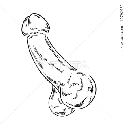 human penis sketch 10792683