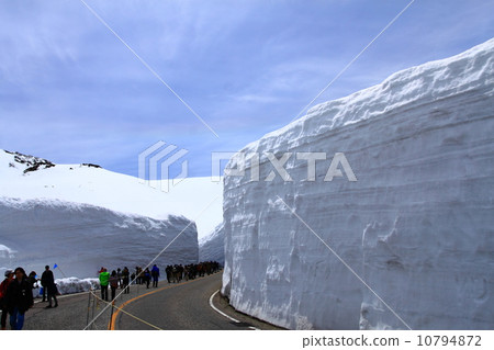 雪牆 10794872