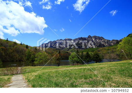 春天Togaku 春天Togaku 10794932