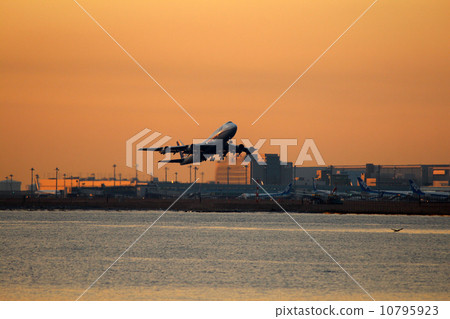 Jumbo與晨光 10795923