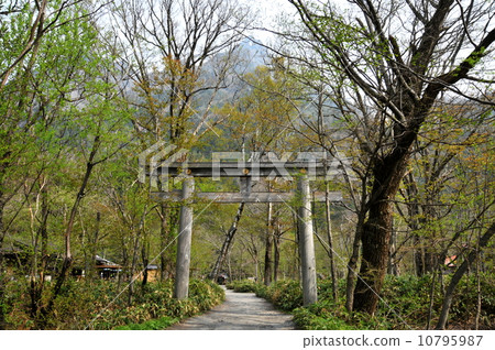長野縣Kamikochi Hodaka Shrine Okumi 長野縣Kamikochi Hodaka Shrine Okumi 10795987