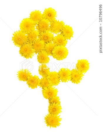 flower made ​​of dandelions 10796496