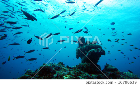 Statue of the undersea (Cebu Island) 10796639