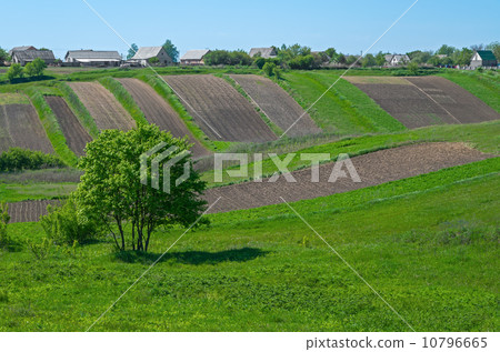 Village fence 10796665