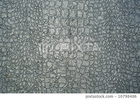 texture of crocodile skin 10798486