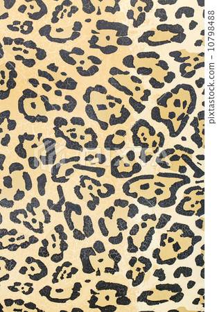 leopard skin texture 10798488