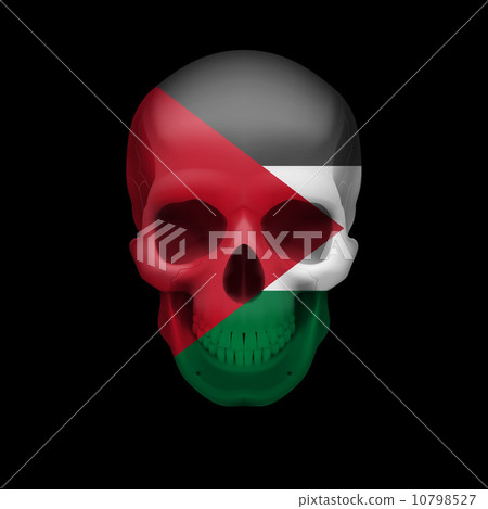 Palestinian flag skull 10798527
