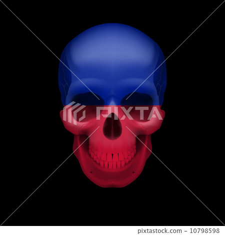 Haitian flag skull 10798598