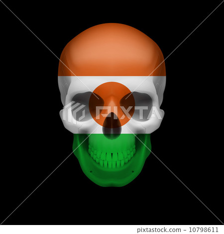 Nigerien flag skull 10798611
