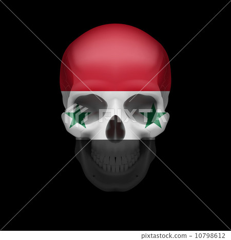 Syrian flag skull 10798612