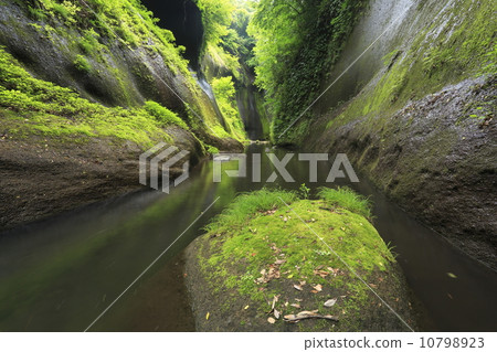 新鮮的綠色輝煌Yufugawa峽谷 10798923
