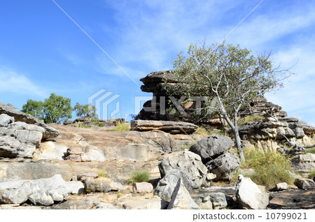 90801卡卡杜國家公園Ubilock 10799021