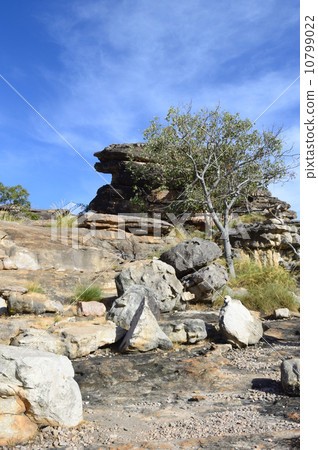 90802卡卡杜國家公園Ubilock 10799022