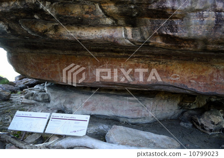 90803卡卡杜國家公園Ubilock 90803卡卡杜國家公園Ubilock 10799023