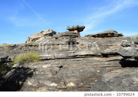 90804卡卡杜國家公園Ubilock 90804卡卡杜國家公園Ubilock 10799024