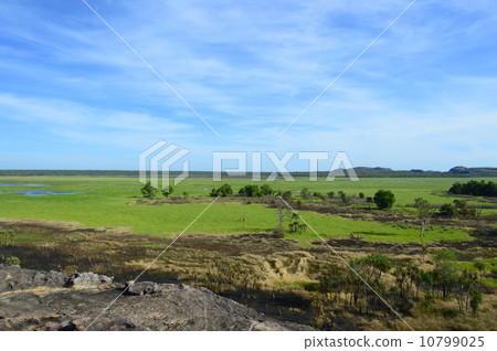 90806卡卡杜國家公園Ubilluck 90806卡卡杜國家公園Ubilluck 10799025
