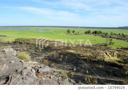 90807卡卡杜國家公園Ubilock 90807卡卡杜國家公園Ubilock 10799026