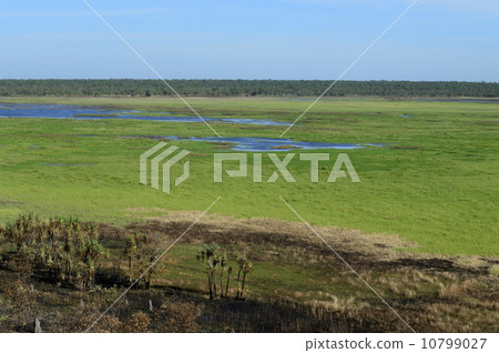 90809卡卡杜國家公園Ubiluruku 90809卡卡杜國家公園Ubiluruku 10799027