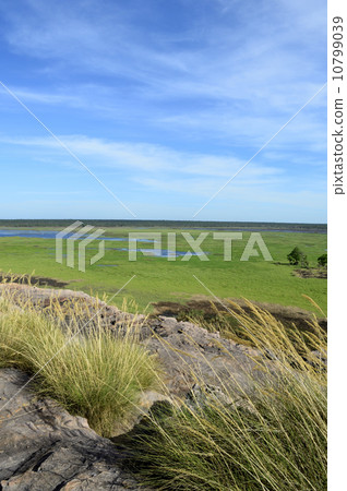 90822卡卡杜國家公園Ubilock 90822卡卡杜國家公園Ubilock 10799039