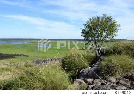 90823卡卡杜國家公園Ubilock 10799040