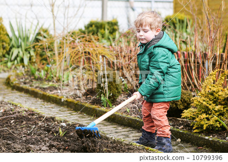 Little boy in spring with garden hoe, planting and gardening Little boy in spring with garden hoe, planting and gardening 10799396