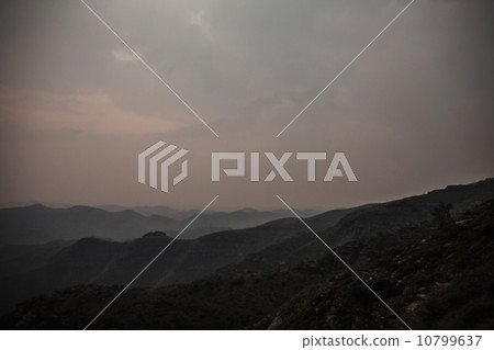 10799637