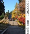 Sugiya Immortel of autumn leaves 10800012