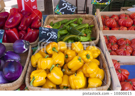 馬爾凱（圖像與五顏六色的蔬菜內襯蔬菜）法國旅遊專業 10800015