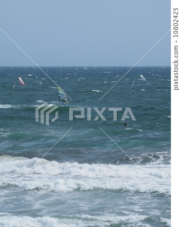 Yumigahama Kamakura 10802425