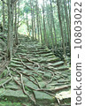 熊野古道 10803022