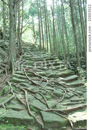 熊野古道 10803022