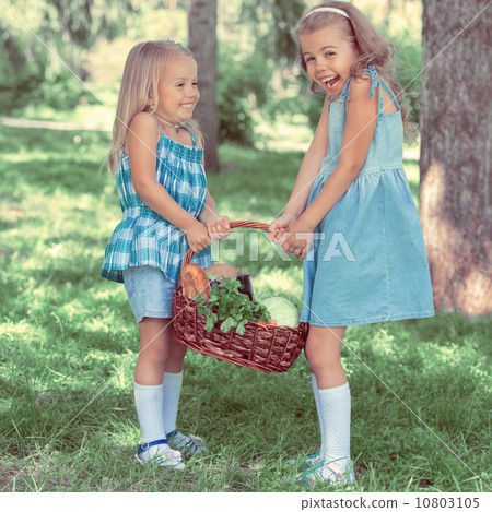 Two little girls carrying basket with organic food 10803105