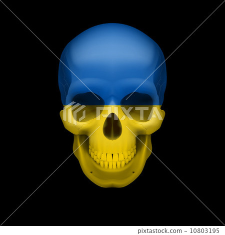 Ukrainian flag skull Ukrainian flag skull 10803195