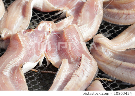 Snakeskin gourami fish drying in the outside Snakeskin gourami fish drying in the outside 10803434