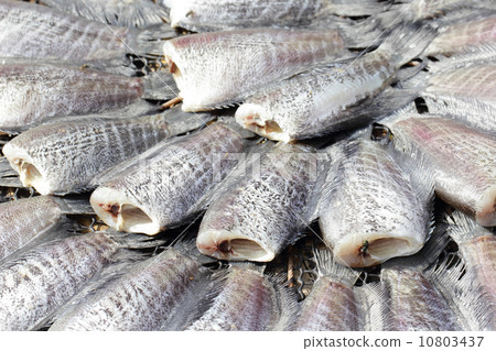Snakeskin gourami fish drying in the outside Snakeskin gourami fish drying in the outside 10803437