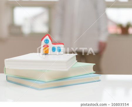 房子縮影 10803554