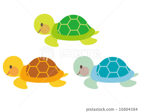 龜圖 龜圖 10804384
