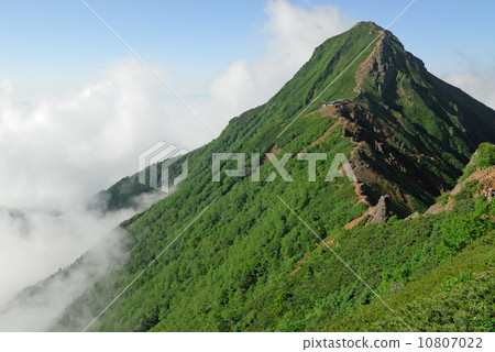 Akadake in summer (Yatsugatake) 10807022