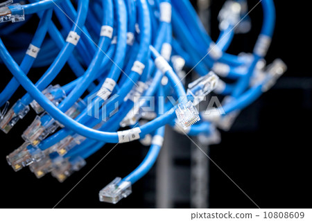 Large group of disconnected blue Internet cables 10808609