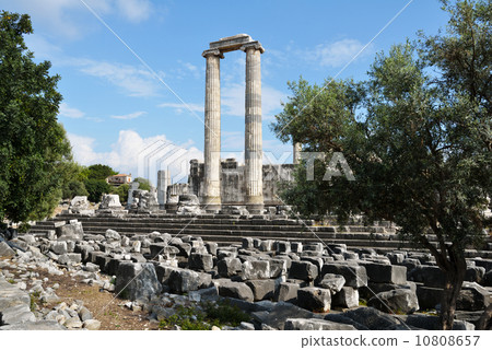 Temple of Apollo in Didim, Turkey Temple of Apollo in Didim, Turkey 10808657