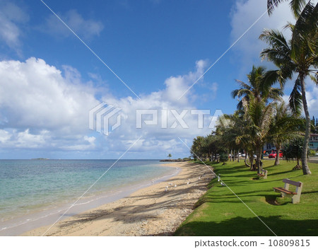 A beach full of beach at the south island 10809815