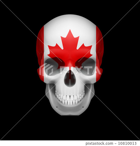 Canadian flag skull 10810013
