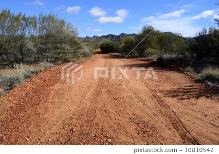 91135愛麗絲泉 10810542