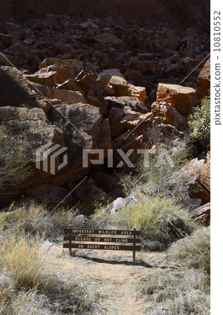 91147 Alice Springs Simpson Gap 10810552