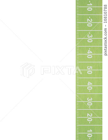 Fresh green grass Fresh green grass 10810788