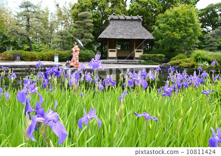 Jyunze en Poetry Izumika Eastern Garden 10811424